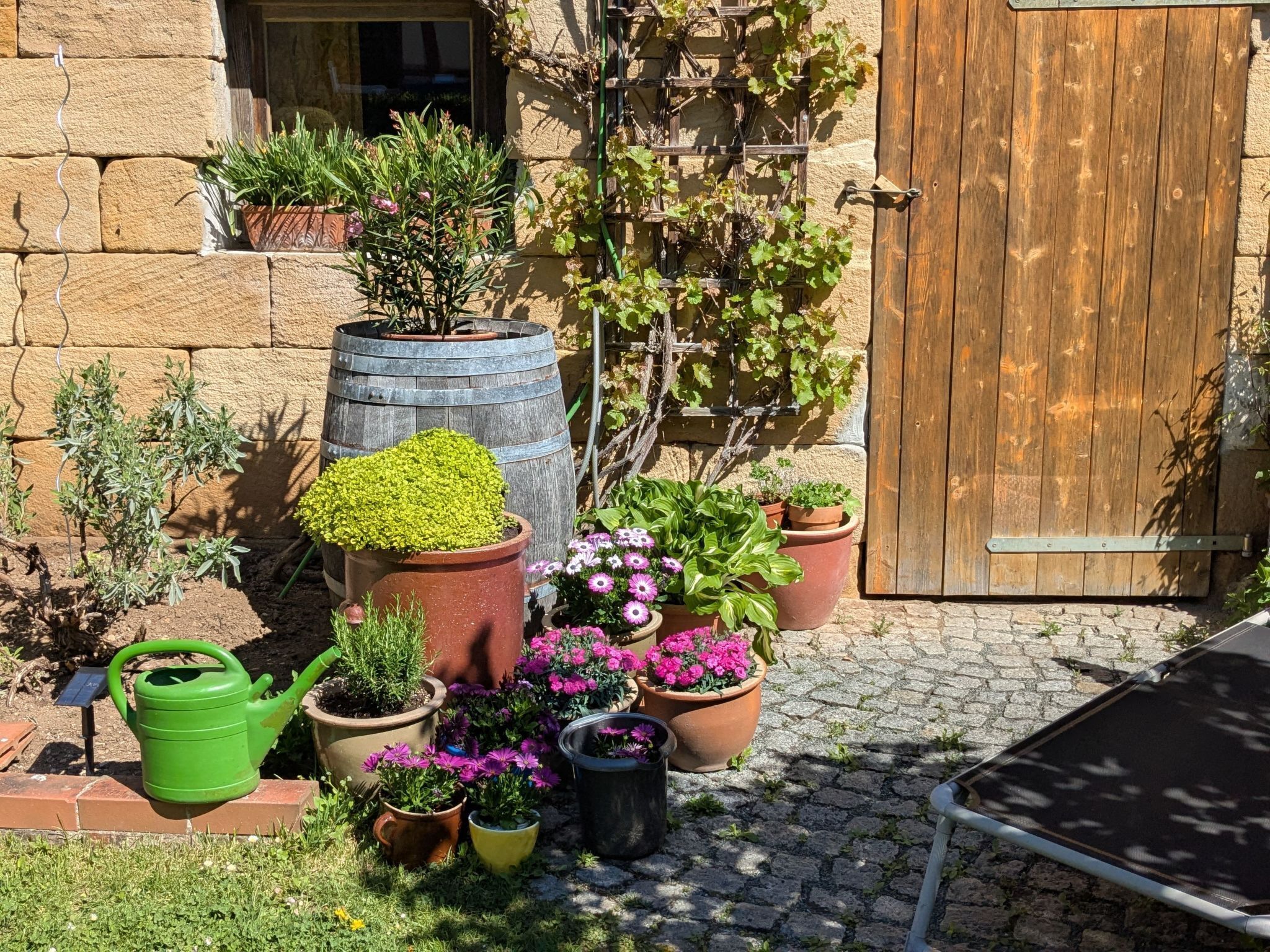 Overnattingsstedets uteområder