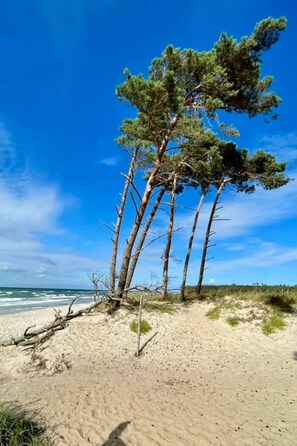 Beach - Apartment 45 qm by Interhome (Ahrenshoop)
