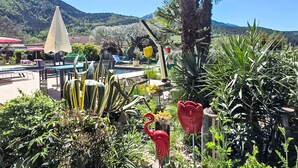 Un jardin agrémenté de palmiers, de cactus et d’un espace piscine.