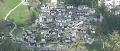 航空写真