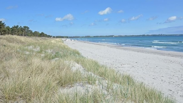 Ein Strand mit Dünen und blauem Himmel.