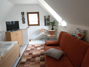 Fernseher