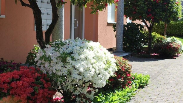 A building with a paved entrance, surrounded by lush greenery and flowering plants. - Residenza al Mulin by Interhome (Ascona)