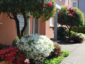 Exterior detail - Residenza al Mulin by Interhome (Ascona)