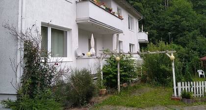 Appartement in Steina mit Terrasse und Garten by Interhome