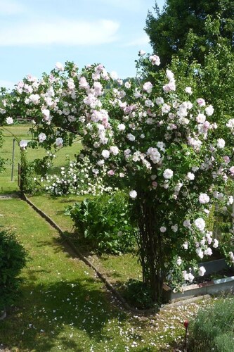 in Hasle-Rüegsau by Interhome