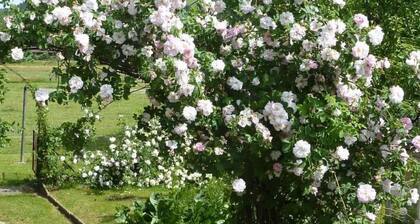 in Hasle-RĂŒegsau by Interhome