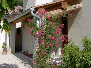 Exterior detail - Mas de la damisello by Interhome (Puyméras)