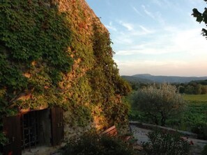 Property grounds - "Haus der Olivenbäume" by Interhome (Puyméras)