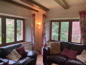 TV, fireplace - Gite des Cerisiers by Interhome (Breitenbach)