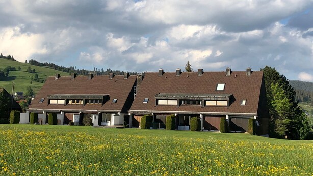 A modern building with multiple roof levels and a large field of yellow flowers in the foreground. - mit Terrasse und offenem Kamin by Interhome (Bernau)