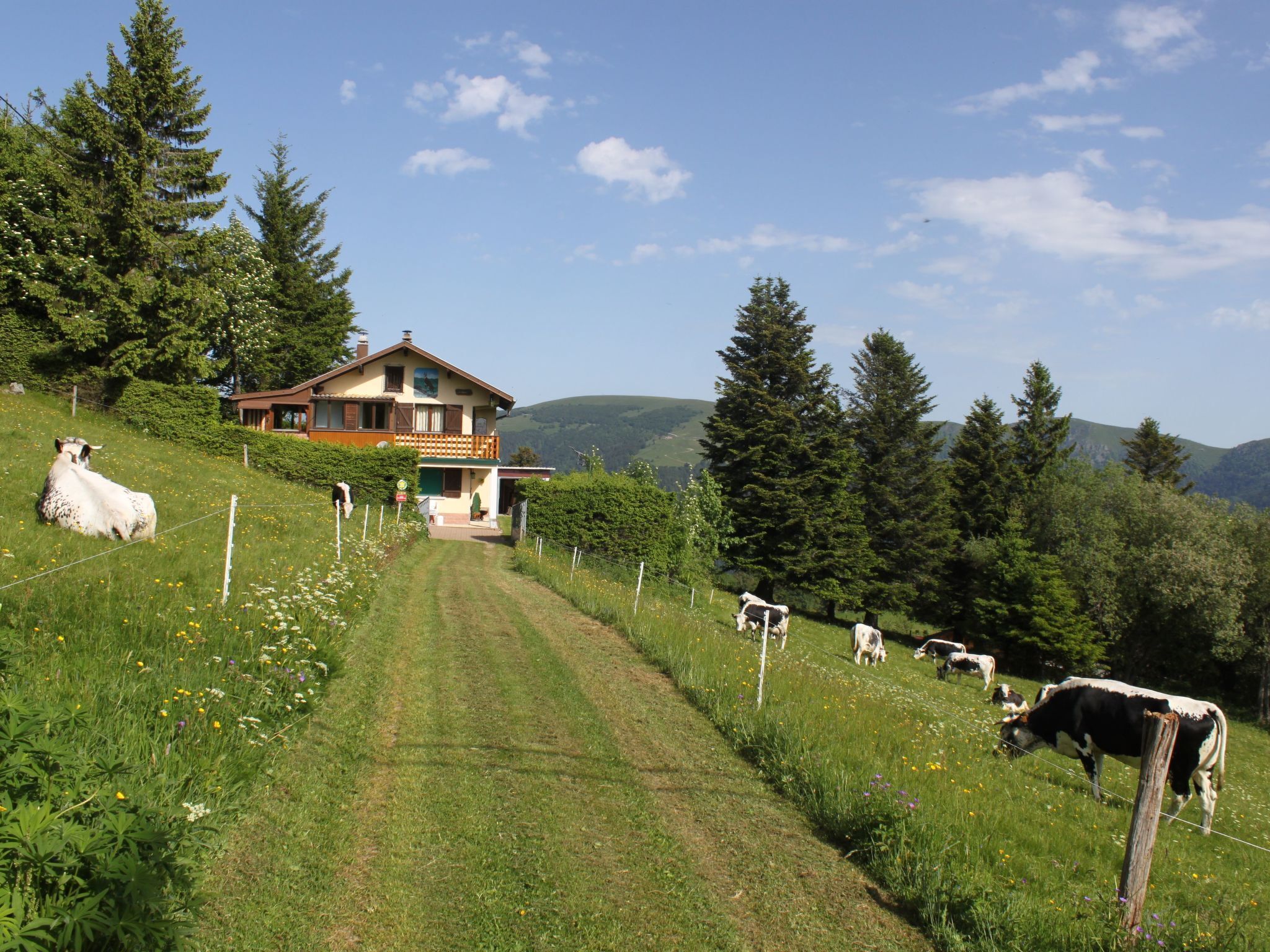 Área da propriedade