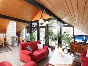 Fireplace, DVD player - Haus Sonnenhügel by Interhome (Winterberg)