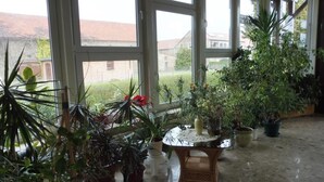 A conservatory with large windows, various potted plants, and a wicker table. - Nette Wohnung mit Garten, Grill und Pool by Interhome (Beetzsee)