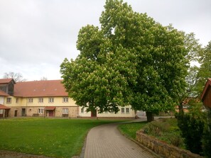 Esterni