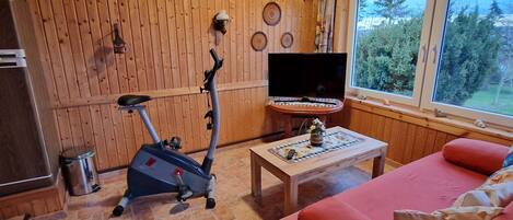 A room with wooden walls, a TV, a small table with a vase, a red sofa, and an exercise bike.