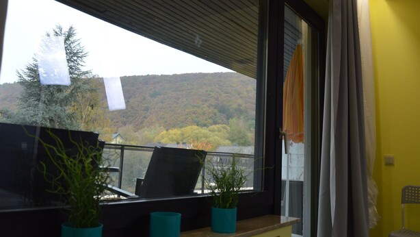 A room with a view of a forested hillside, a window with a curtain, a chair, and two potted plants on a table. - Eifelhaus4you by Interhome (Schleiden)