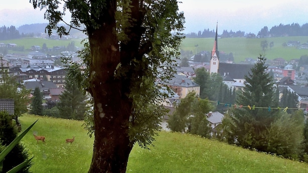 Un árbol en un área verde con vistas a un pueblo y una iglesia al fondo.