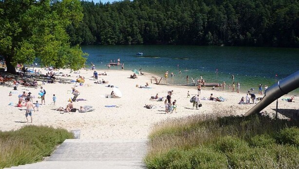 A beach with a wooden walkway leading to the water, surrounded by dense forest. - Marie 125 by Interhome (Bad Arolsen)