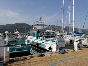 Marina - Corse du Sud 10mn von den Stränden entfernt - Olmeto App 4P by Interhome (Olmeto)