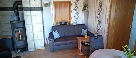 A cozy living room with a fireplace, a sofa, a dining table, and a small table with plants.