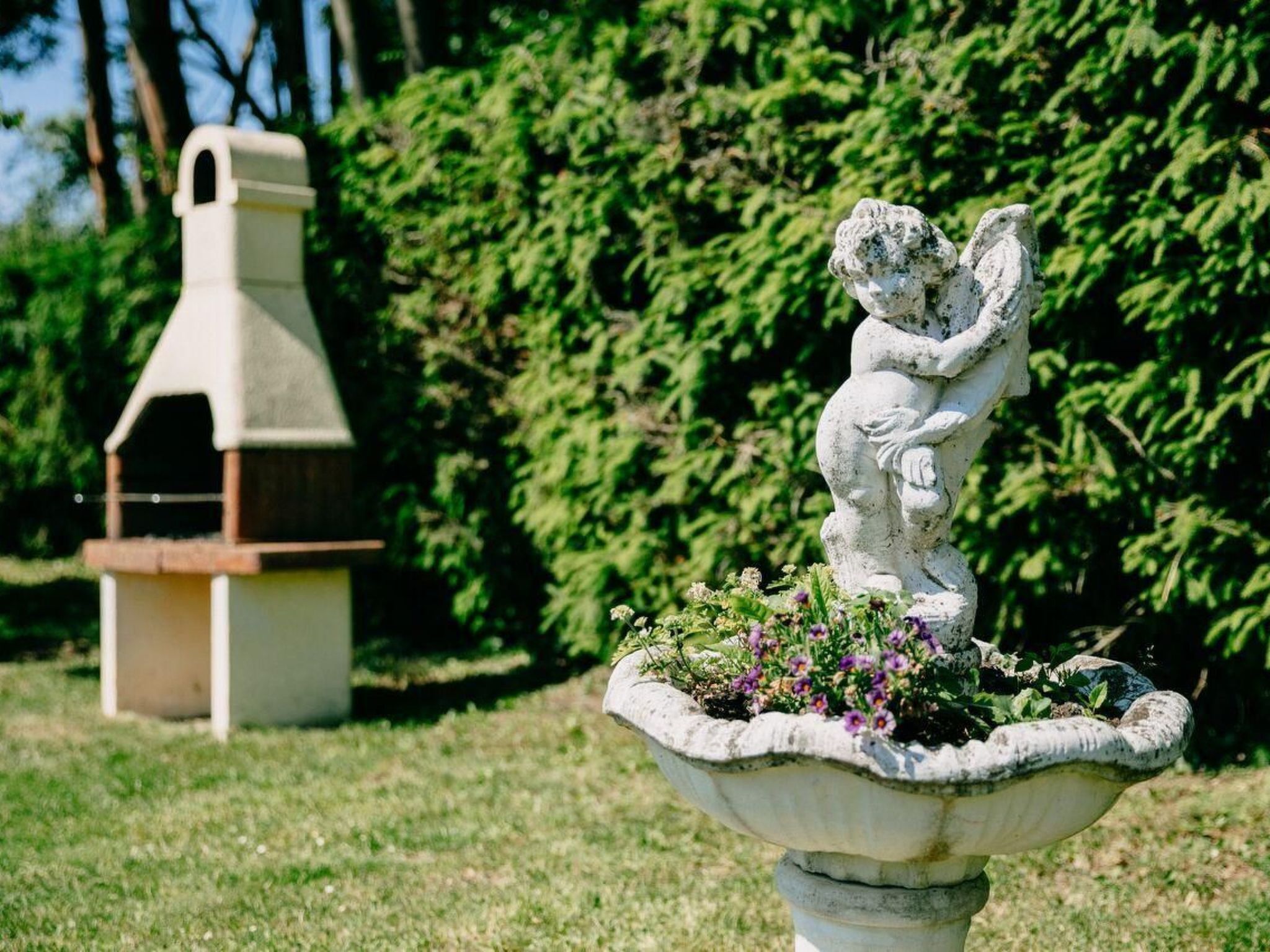 Terrein van de accommodatie