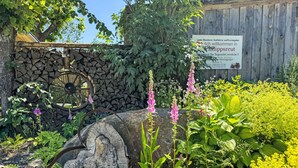 Un jardín con cerca de madera, pared de piedra y un letrero.