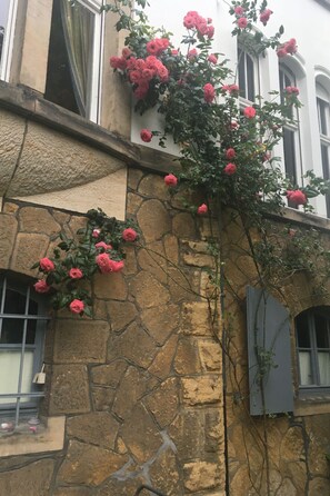 Detalle exterior