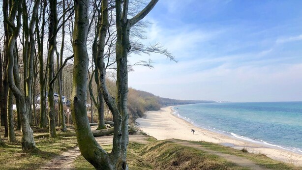 A coastal path with trees, a beach, and the sea. - in Strandnähe by Interhome (Bad Doberan)
