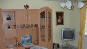Een woonkamer met een houten kast, een televisie en een kamerkleed met dessin.