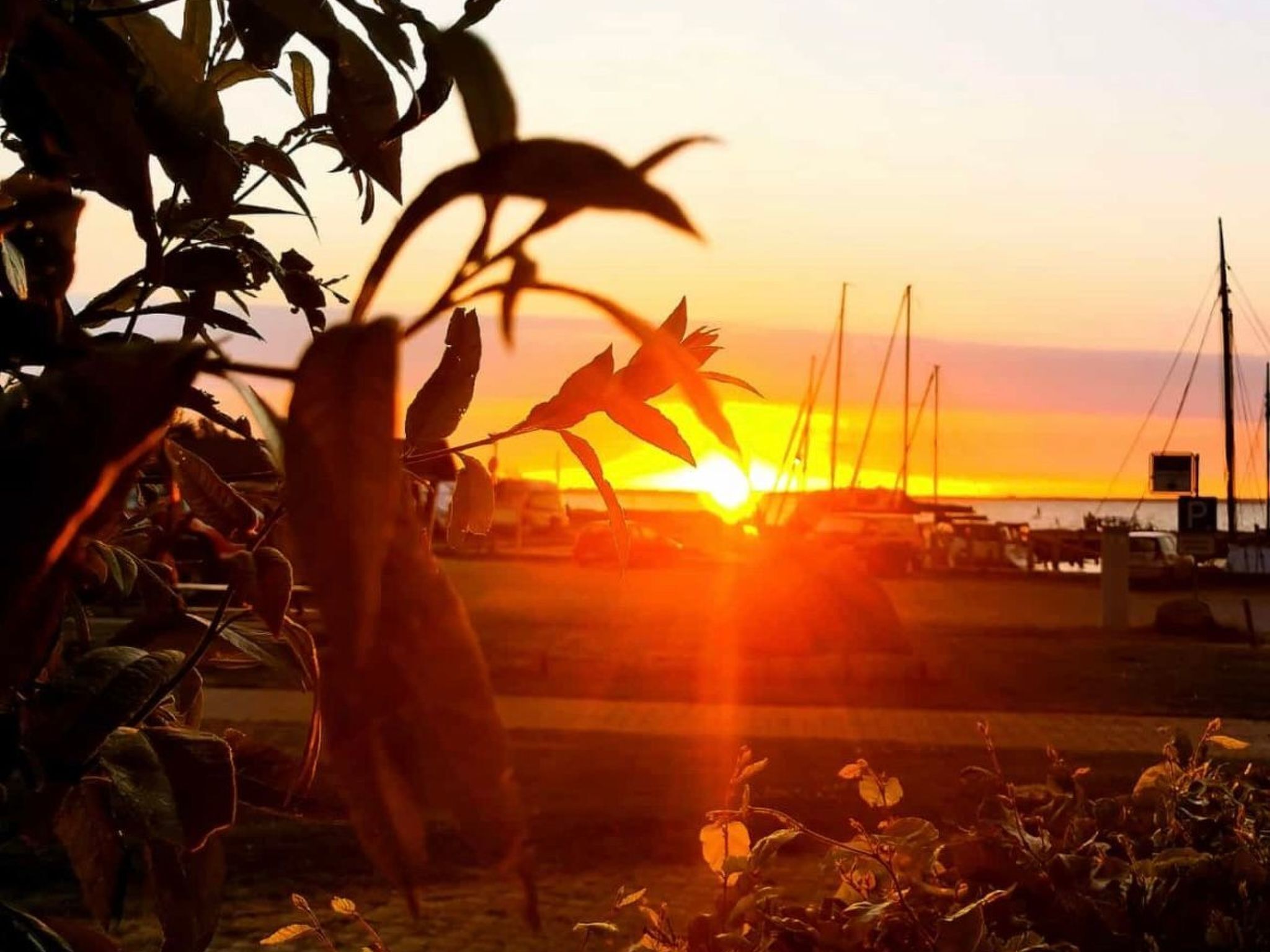 A sunset over a marina with boats and a clear sky.