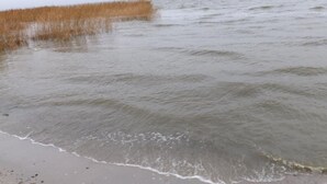 Una playa con agua tranquila y una zona cubierta de césped.