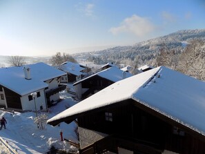 Exterior - Wohnung mit möblierter Terrasse und Waldblick by Interhome (Hauzenberg)