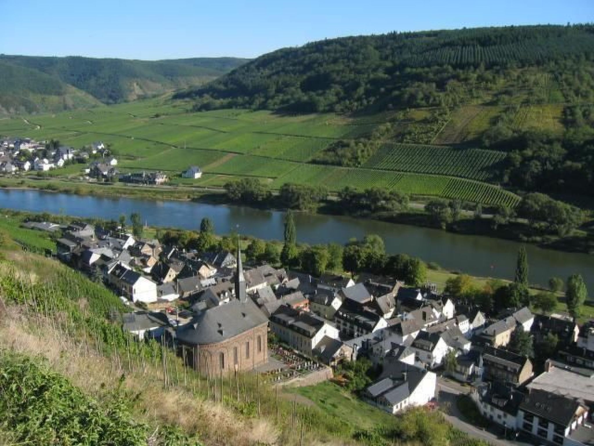 A riverside town with houses, a church, and vineyards.