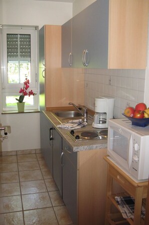 Fridge, microwave, cookware/dishes/utensils - Schneemann by Interhome (Cochem)