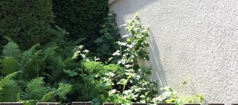 Wohnung Lydiavi by Interhome