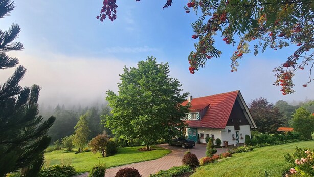 A house with a red roof, surrounded by a well-maintained garden and a pathway leading to it. - Tauchert by Interhome (Baiersbronn)