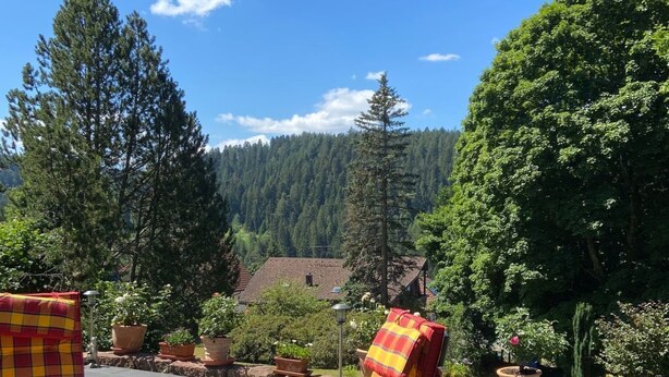 Eine Terrasse im Freien mit einem runden Tisch und zwei Stühlen, umgeben von Kübelpflanzen und Blick auf eine bewaldete Gegend.