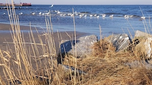 A beach with rocks and reeds in the foreground, a pier with a red structure in the background, and seagulls flying over the water. - Waldperle by Interhome (Altwarp)