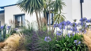 Un edificio moderno con fachada blanca, una ventana y una variedad de plantas, incluyendo pastos altos y flores moradas.