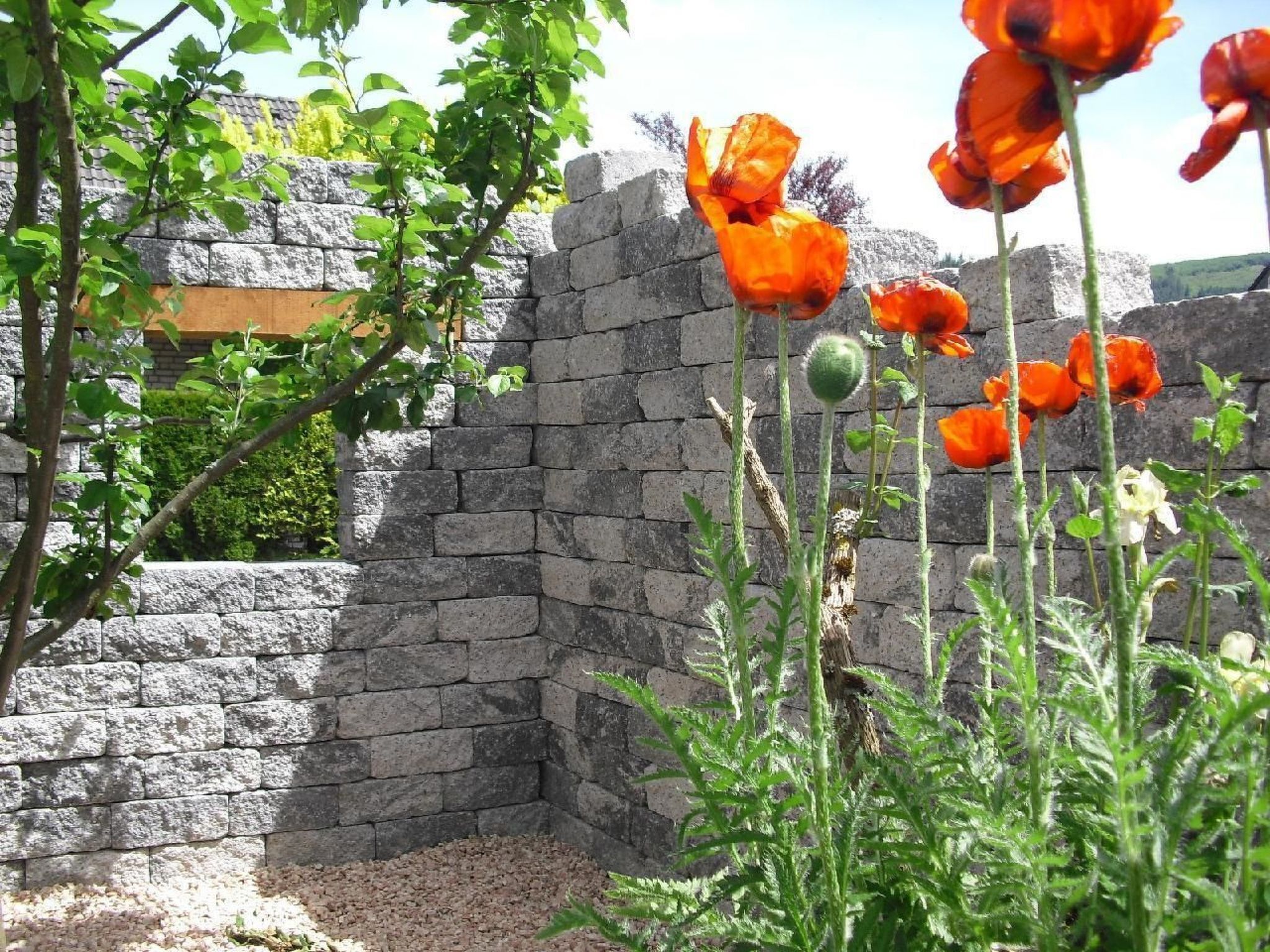 المنطقة المحيطة بالمنشأة