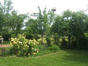 Property grounds - am Wiesengrund in Venningen by Interhome (Venningen)