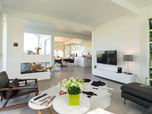 TV, fireplace - Fünfjahreszeiten in Bodstedt by Interhome (Bodstedt)