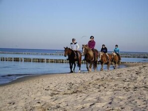 Beach - DatTraumhus by Interhome (Bodstedt)
