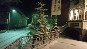 Uma árvore de Natal coberta de neve em frente a um edifício com uma placa que diz 'Freiburgwohnen Altes Rathaus'.