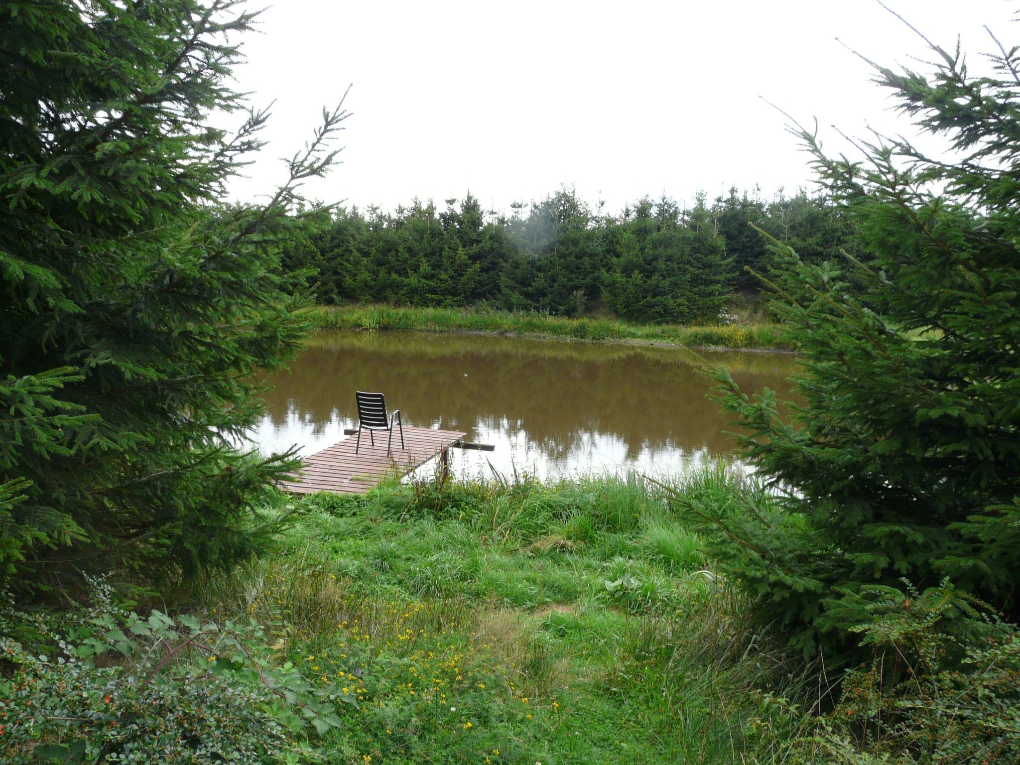 A wooden dock extending into a calm pond surrounded by dense green foliage.