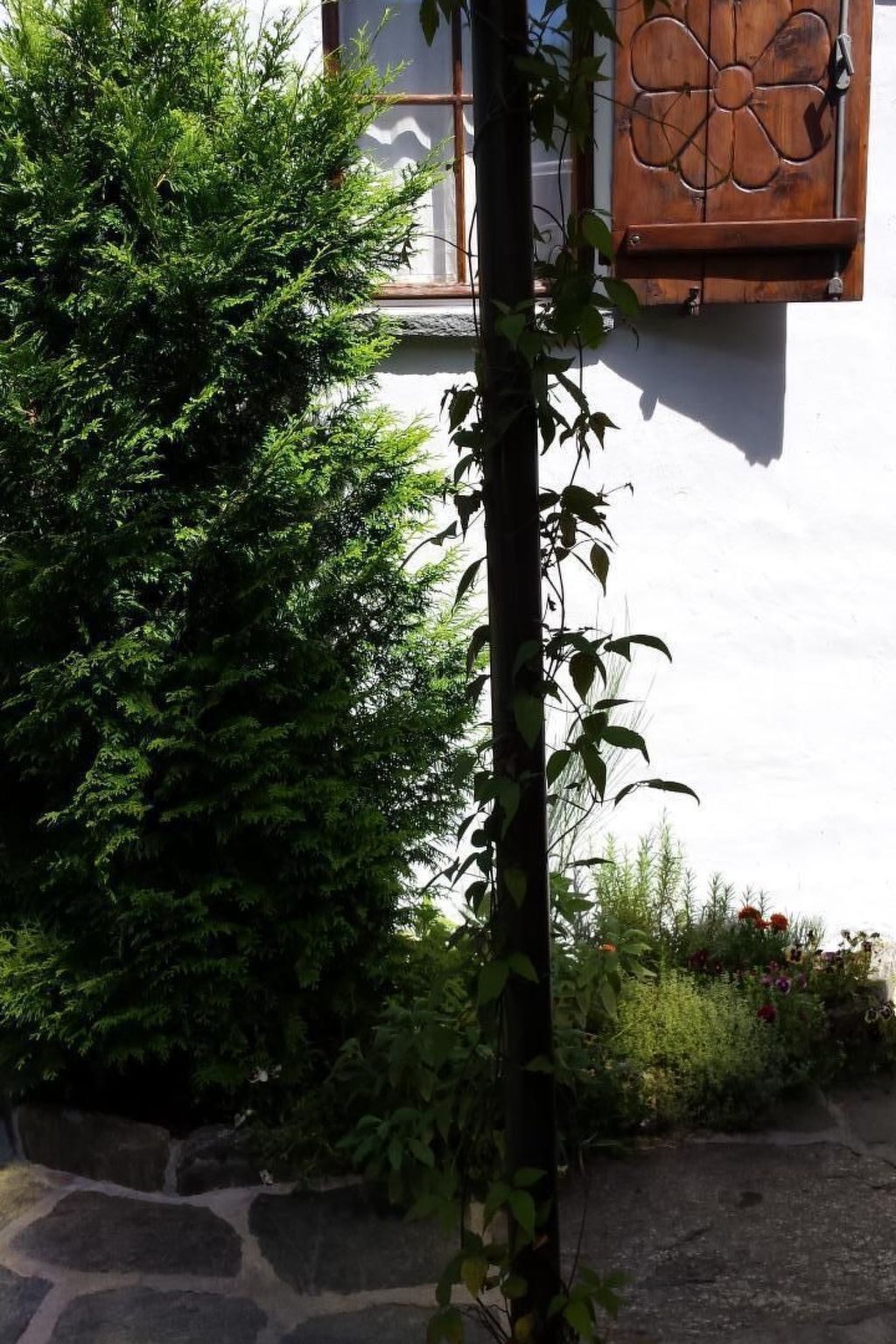Un giardino con un muro in pietra, un palo di legno e una finestra con un motivo floreale.