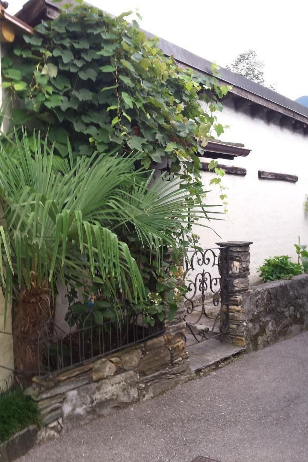 Un edificio con pared de piedra y cerca de metal, rodeado de abundante vegetación, incluyendo hiedra y helechos.