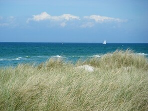 Kystlandskab med græs i forgrunden, klar blå himmel og en sejlbåd på havet.