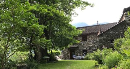 weg von der Zuvielisation by Interhome